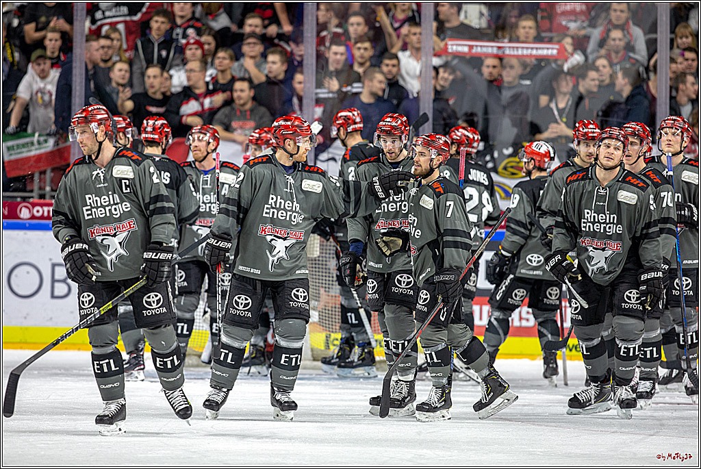 DEL; Koelner Haie - Thomas Sabo Ice Tigers, 28.11.2018